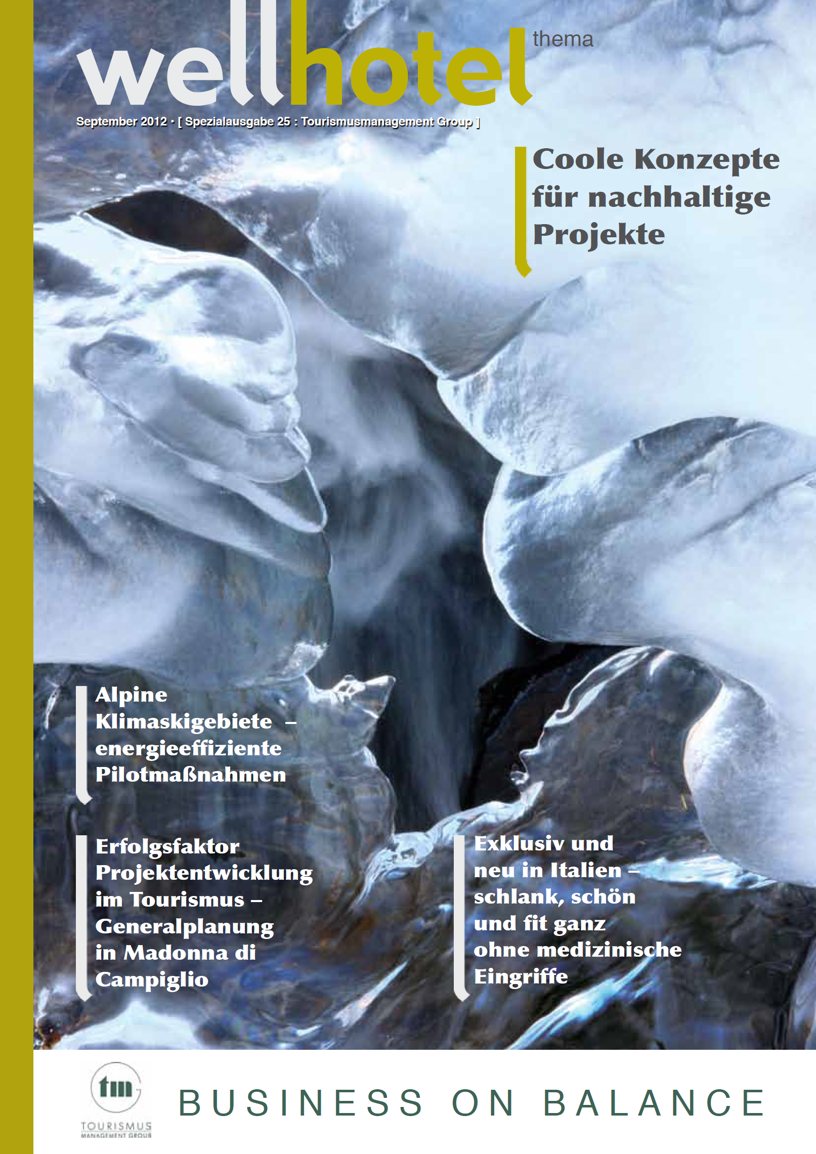 wellhotel-sonderheft-tourismusmanagement-2012